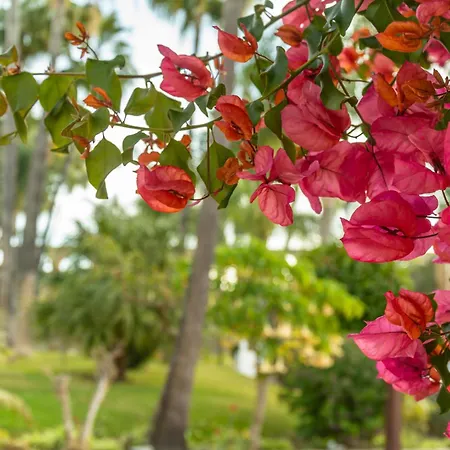 Apartament Tetuan 46 Oasis