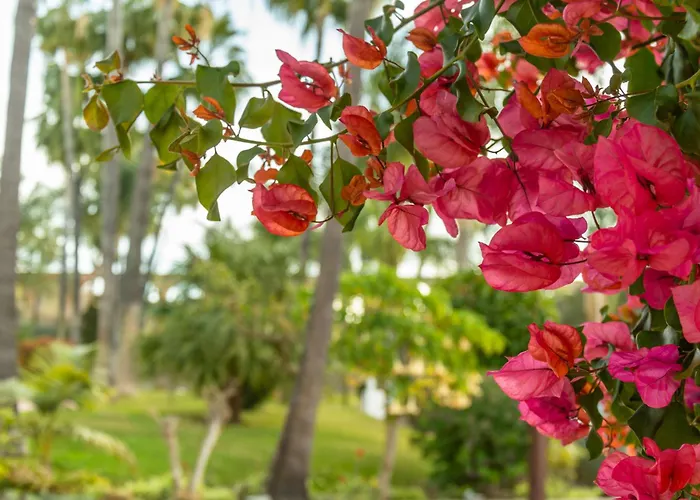 Apartament Tetuan 46 Oasis