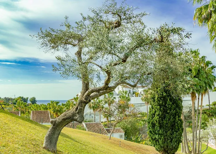 Tetuan 46 Oasis Apartment